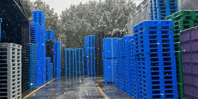 雪花與塑料托盤的相遇，是冬日里的一場美麗的邂逅